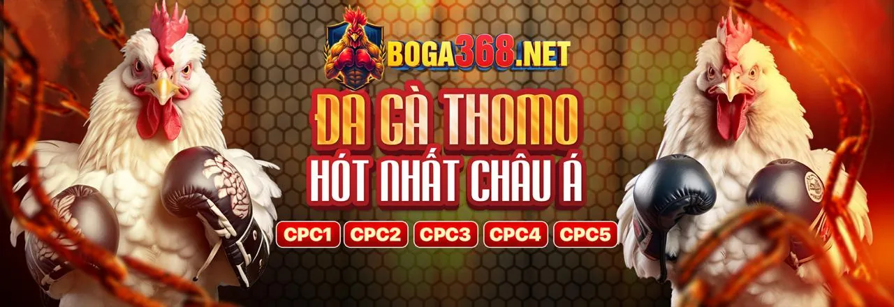 Đấu gà trực tuyến kịch tính trên t88 app