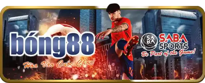 Trải nghiệm người dùng t88 app